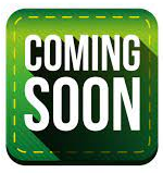 VTP Project Bavdhan 3BHK Plan